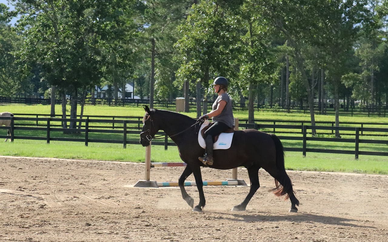 Horse and rider in focused flatwork at Menden Equestrian