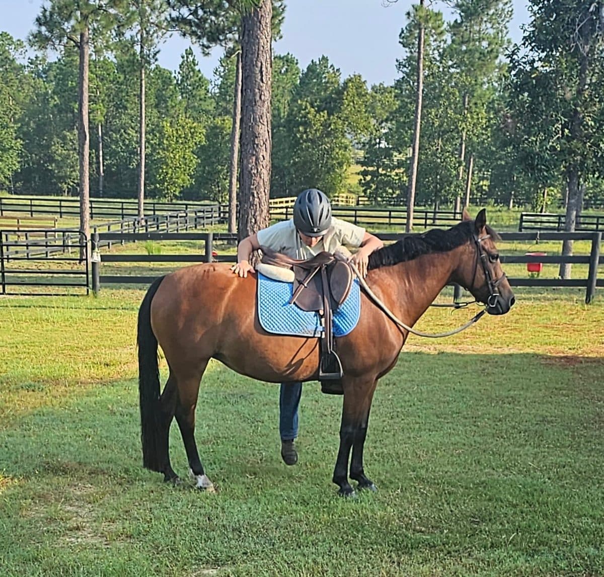 Horse-first development approach at Menden Equestrian